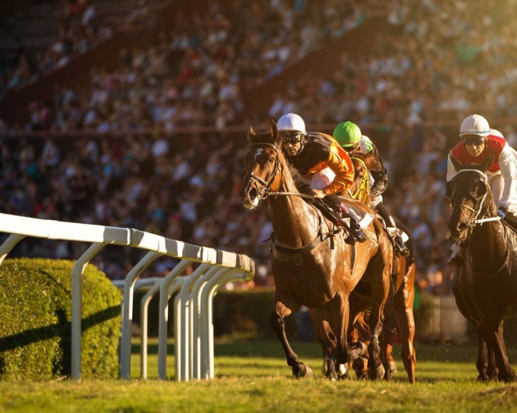 Sporting Event Transfers